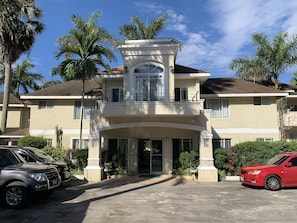 House, Lamp, Tree, Rug, Palm Tree