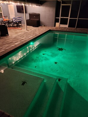 Enjoy lights under the lanai at night and play in the pool with the lights on.