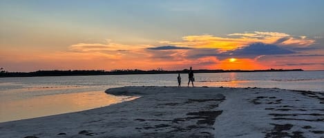 Bald Point Beach On Alligator Point
Steps Away From Tarpon Point Beach House