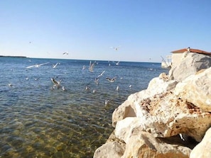 Plage