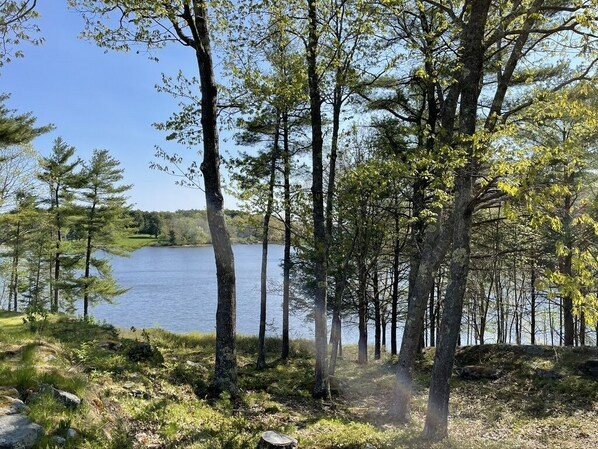 Water view during high tide