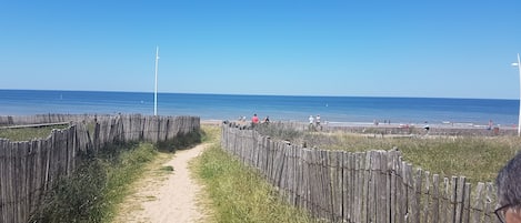 chemin de dune