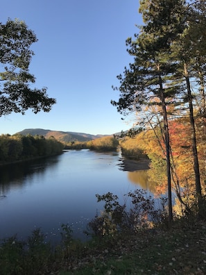 Fall river view.