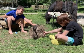 Friendly Emus and Mini Horses, plus chickens, ducks, and quail are on property.