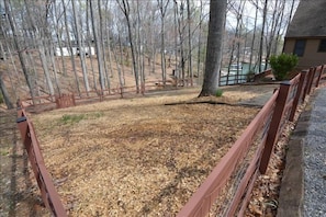 Dog Run