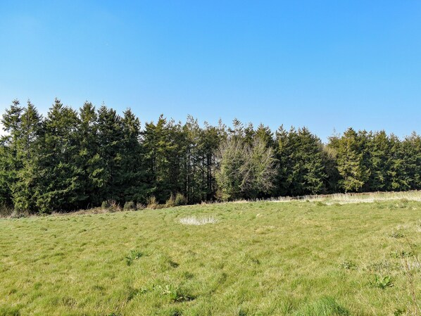 Garden and grounds | Piglet Cottage, Hog End, Piggy in the Middle - Old Highwood, Dunkeswell