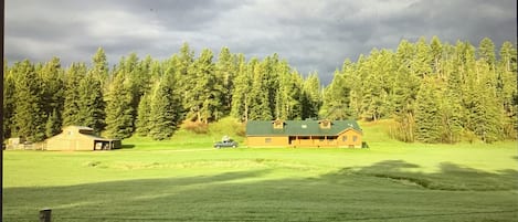 View of the property from the road.