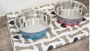 Approved dogs welcome!