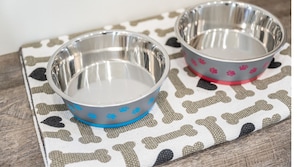 Approved dogs welcome!
