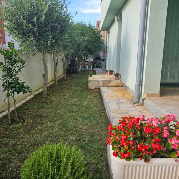 Terraço/pátio