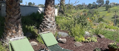 Sunbathing area under palm trees