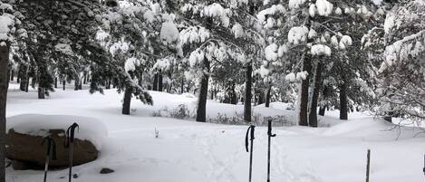 Esportes de neve e esqui