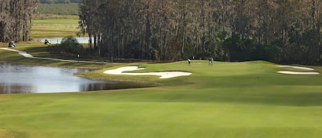 Builder Illustration: Gordon Lewis 18 Hole Golf Course