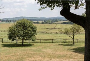 view from cottage porch