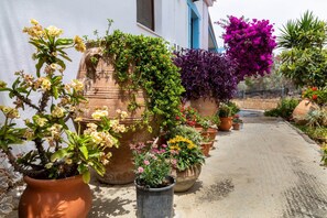 Sidewalk garden leading to the apartment.