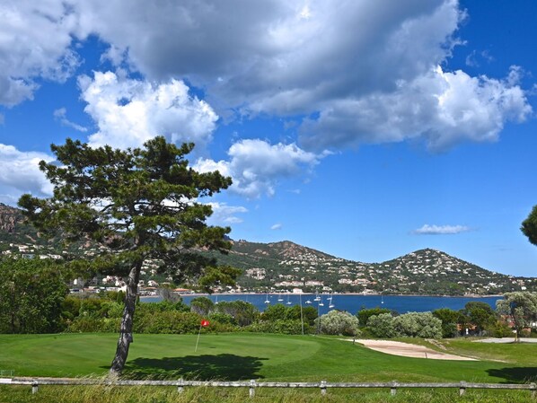 Nuage, Ciel, Plante, Paysage Naturel, Montagne, Arbre, Végétation, Lot Terre, Herbe, Paysage