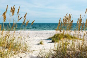 Enjoy the secluded beaches, all to yourself!