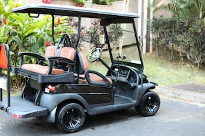 On-Site Golf Cart