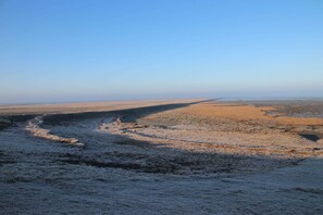 Umgebung von Friedrichskoog