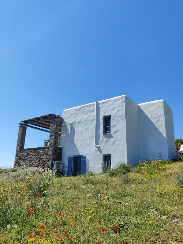 The exterior of the house and the yard.
