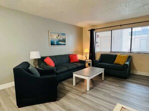Nice and comfy Living room
