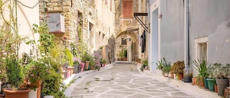 Enjoy the pictursque paved alleys