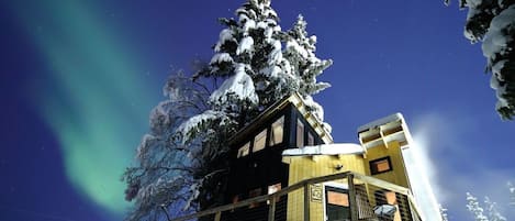 Experience the magic of an elevated treehouse retreat, surrounded by snow-draped trees and illuminated by the aurora borealis—perfect for adventure and relaxation.