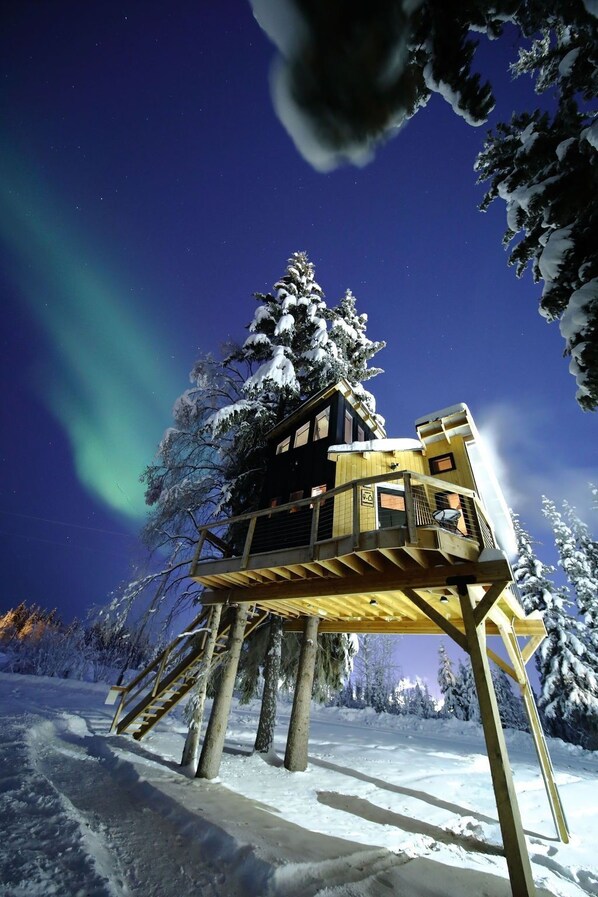 Experience the magic of an elevated treehouse retreat, surrounded by snow-draped trees and illuminated by the aurora borealis—perfect for adventure and relaxation.