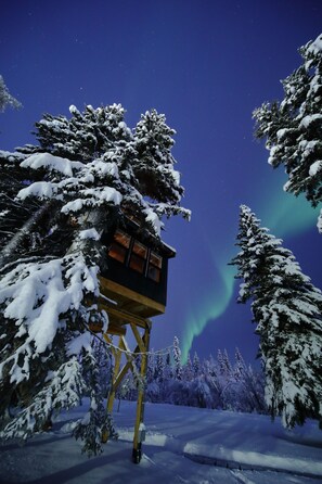 Experience the magic of the Northern Lights from the Raven Treehouse, surrounded by snow-covered pines and Alaska's starry skies—a truly enchanting winter retreat.