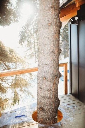 Experience nature up close with unique design elements like this tree integrated into the deck, creating a seamless connection to the outdoors