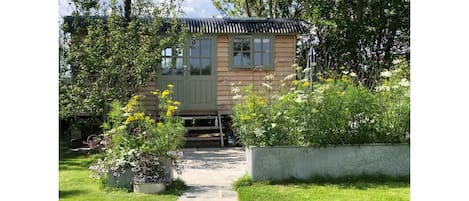 Summer time at Little Plovers Sheperd Hut