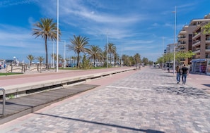 area