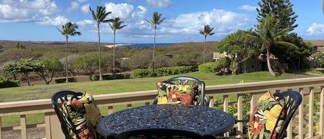 View from our lanai