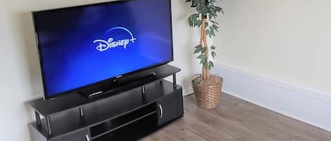 55in. T.V w/ free Disney+. Also the  ability to log into your streaming services