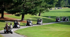 Ask us how we can help you score the BEST tee times on any of Bella Vista's 7 golf courses!