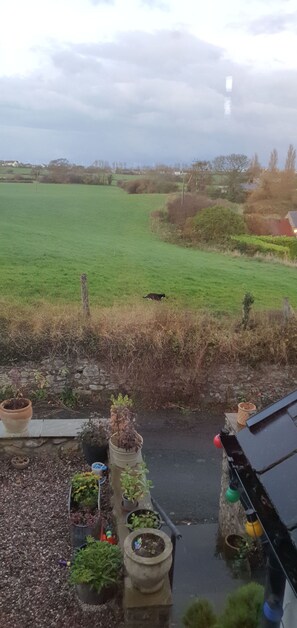 Another view from the bedroom window. 