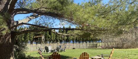 Lovely backyard. USL visible through arbor vitae