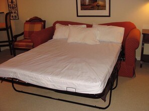 Sleeper Sofa