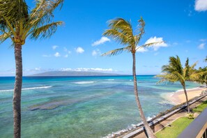 Wake up to color-rich waters, whispering palms, and a shoreline path that leads straight to Maui daydreams     LOK-B203