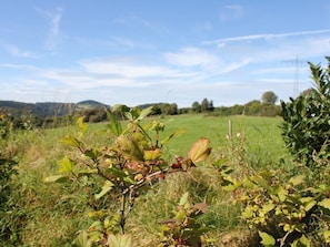 Naturferiendorf Dronkehof