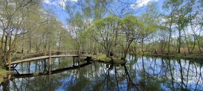 Parco della struttura