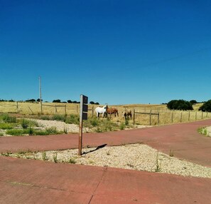 Terrain de sport