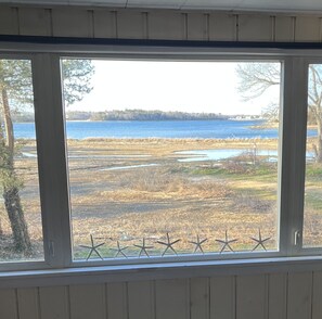Winter view from living room