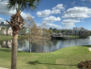 Relaxing View from the bedroom 