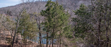 View of the path to get to the water.