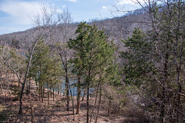 Terrain de l’hébergement 