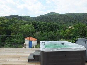 Large house in Ceret Centre