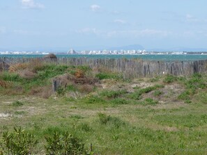 Imagen general