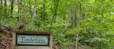 Timberlane Mountain Studio sits just above the "Timberlane" sign.