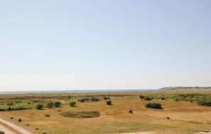 area